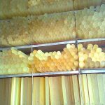 Nhựa PU cây tròn phi 8, 10, 15, 20, 25, 30, 40, 50 tới phi 150 7 Cay nhua PU tron cac loai