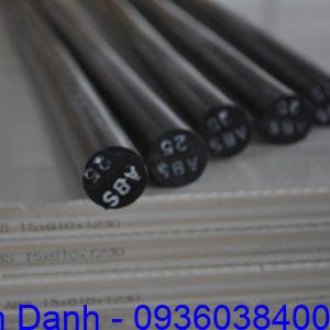 Nhựa cây tròn ABS 13 Nhua ABS cay tron D25