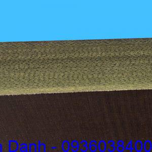 Tam nhua phip vai, phip sung cach dien