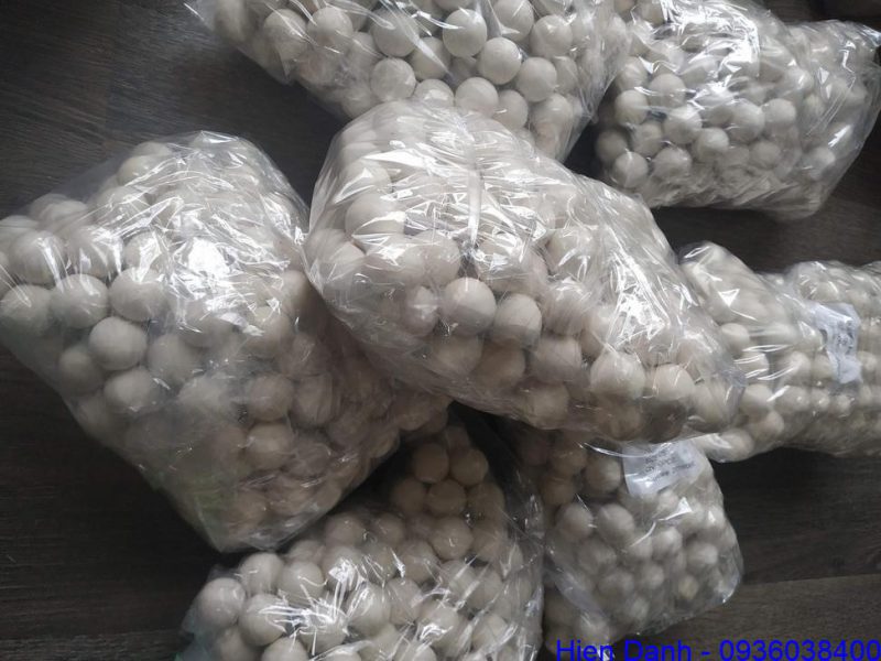 Bi Silicon 23 Bi silicone