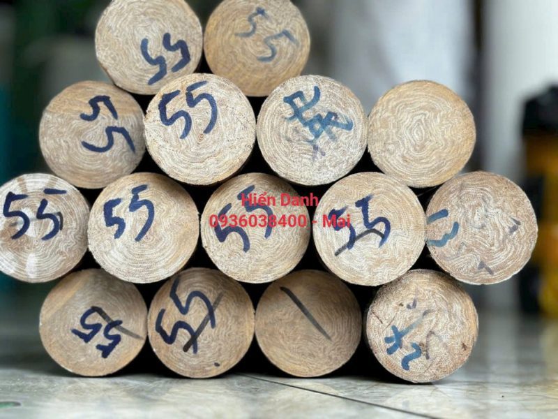 Cây Phíp Tròn Size 20, 25, 30, 35, 40, 45, 50, 55, 60, 70, 80, 90, 100 tới 200mm 15 Phip tron 55